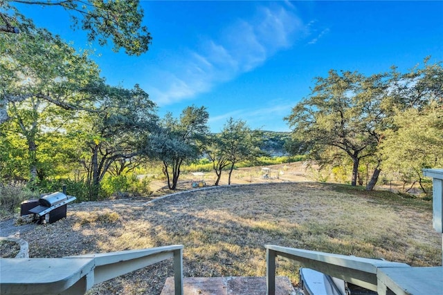 10902 Beach Rd, Leander, TX 78641 - view of yard