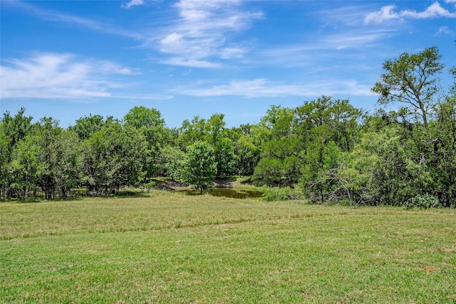 255 Mesquite Dr, Cedar Creek, TX 78612 - view of green lawn with a wooded view