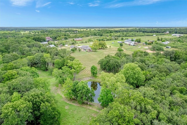 255 Mesquite Dr, Cedar Creek, TX 78612 - aerial overview of property's location with a large body of water