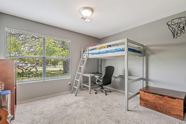 255 Mesquite Dr, Cedar Creek, TX 78612 - bedroom with carpet floors and an office area