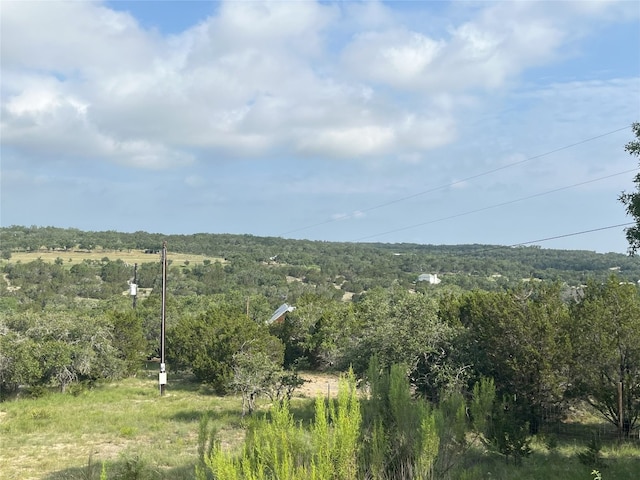 141 Hill Cv, Dripping Springs, TX 78620 - photo 22