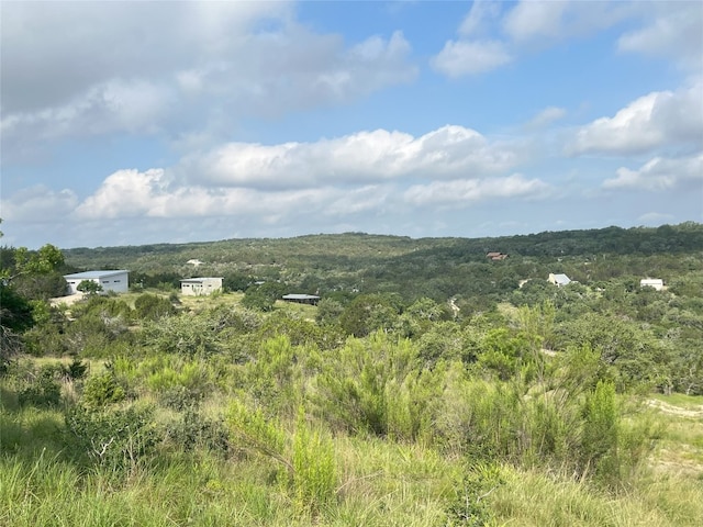 141 Hill Cv, Dripping Springs, TX 78620 - photo 23