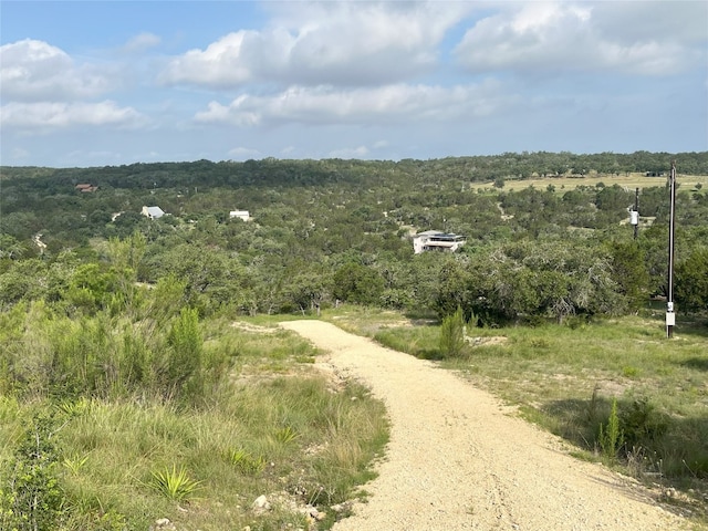 141 Hill Cv, Dripping Springs, TX 78620 - photo 24