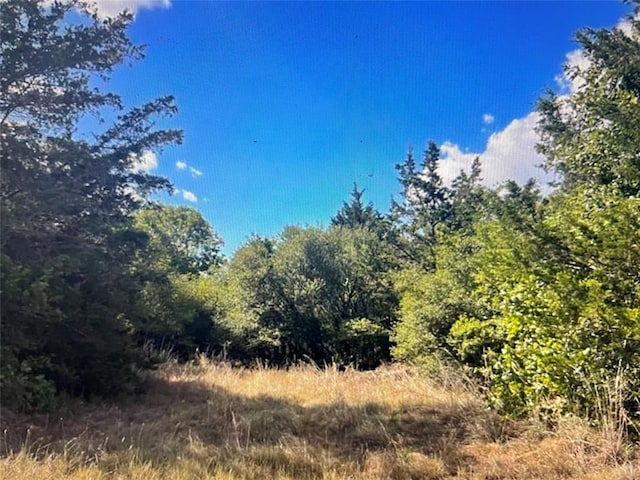 TBDCR411 County Rd Unit 411, Lexington, TX 78947