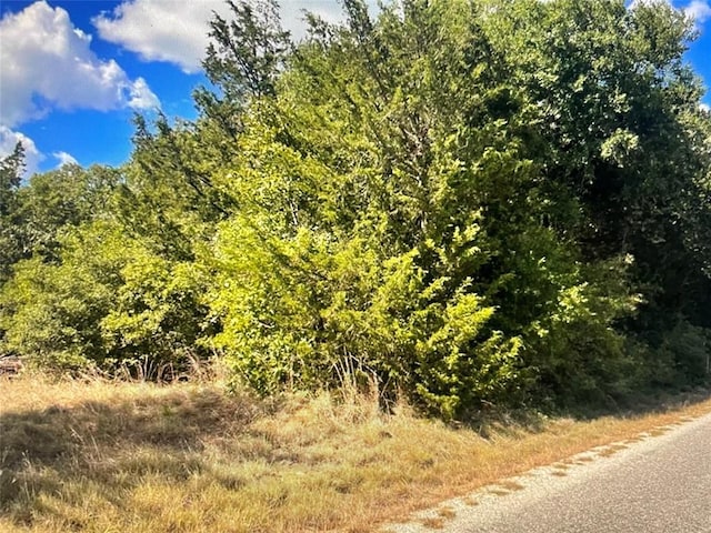 TBDCR411 County Rd Unit 411, Lexington, TX 78947