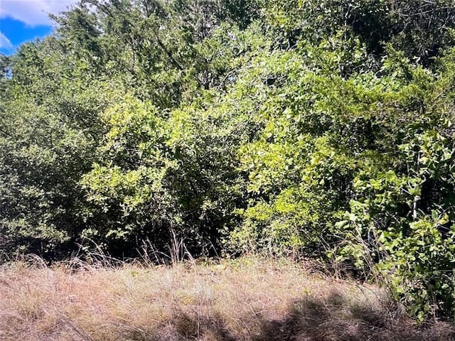 TBDCR411 County Rd Unit 411, Lexington, TX 78947