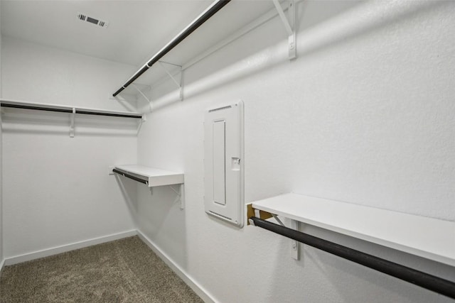 2433 Bear Cub Bnd, Leander, TX 78641 - photo 25