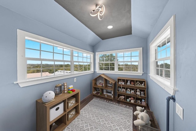 362 Oak Haven Rd, Fredericksburg, TX 78624 - living area with lofted ceiling and wood finished floors