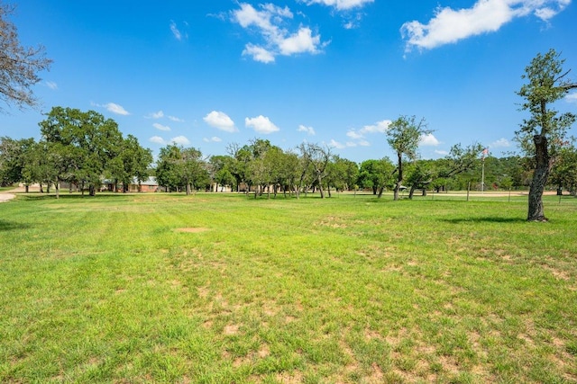 362 Oak Haven Rd, Fredericksburg, TX 78624 - view of grassy yard