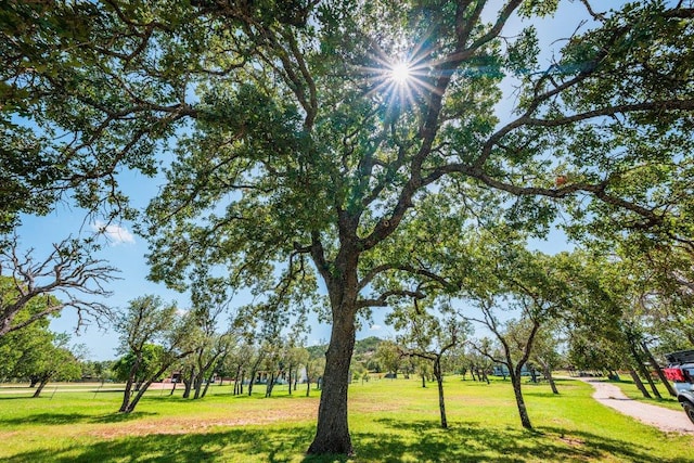 362 Oak Haven Rd, Fredericksburg, TX 78624 - view of home's community with a lawn