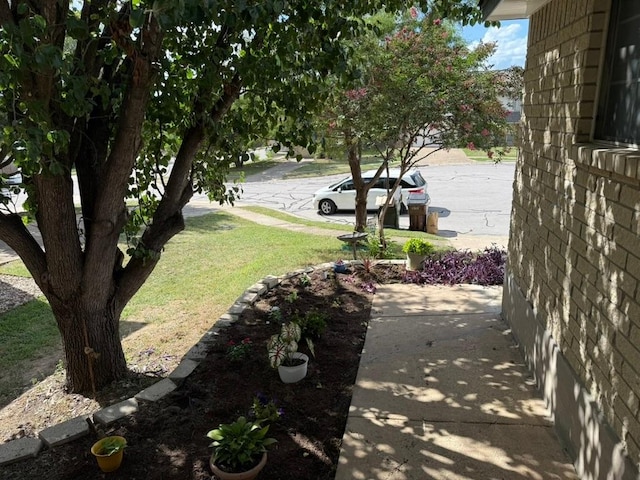 1707 Morningside Cv, Round Rock, TX 78664 - photo 15
