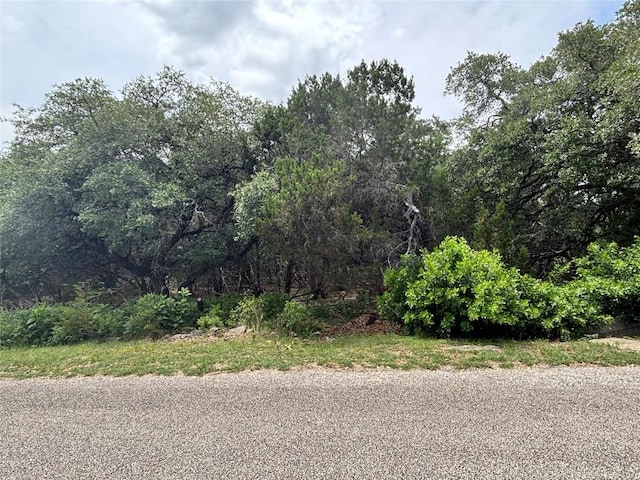 1575 Eastview Dr, Canyon Lake, TX 78133 - photo 3
