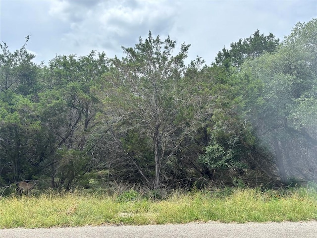 1575 Eastview Dr, Canyon Lake, TX 78133 - photo 4