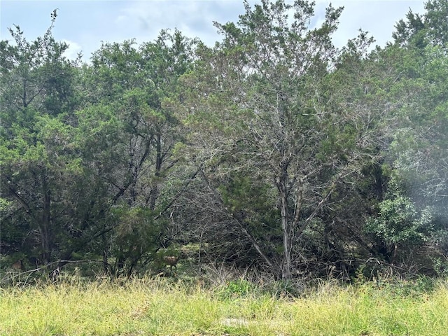 1575 Eastview Dr, Canyon Lake, TX 78133 - photo 7