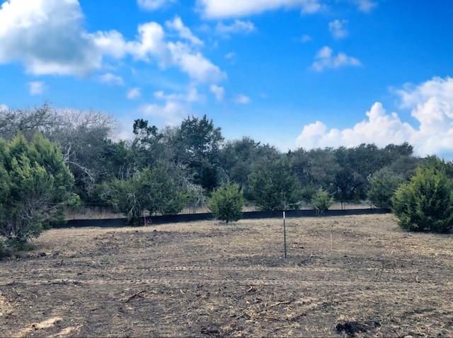 629 Prairie Clover Dr, Dripping Springs, TX 78620 - photo 12