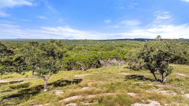2219 Hiline Dr, Bulverde, TX 78163 - photo 22