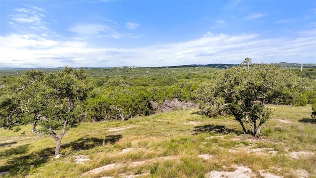 2219 Hiline Dr, Bulverde, TX 78163 - photo 23