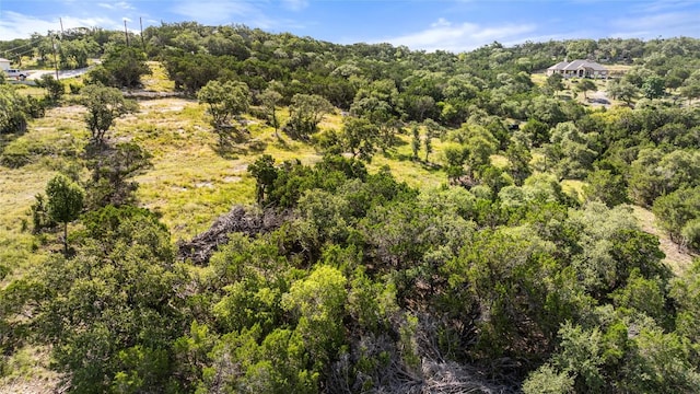2219 Hiline Dr, Bulverde, TX 78163 - photo 25