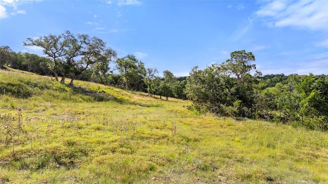 2219 Hiline Dr, Bulverde, TX 78163 - photo 30