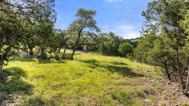 2219 Hiline Dr, Bulverde, TX 78163 - photo 31