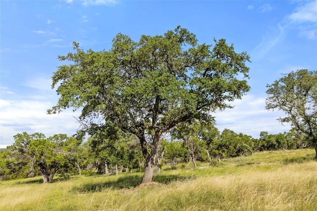 2219 Hiline Dr, Bulverde, TX 78163 - photo 33
