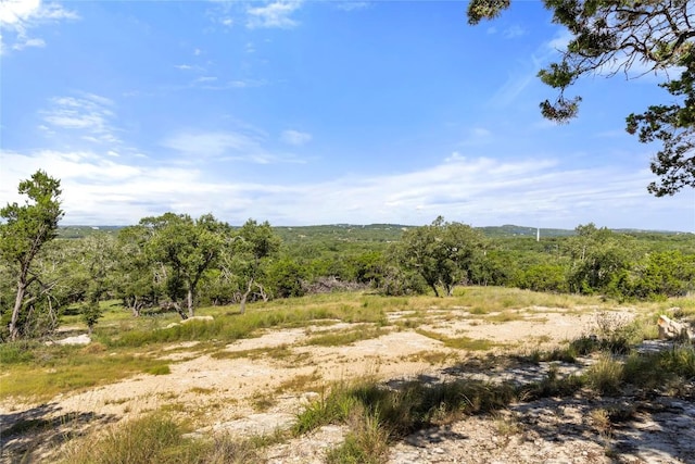 2219 Hiline Dr, Bulverde, TX 78163 - photo 34