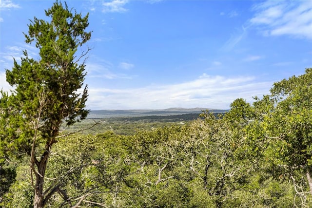 2219 Hiline Dr, Bulverde, TX 78163 - photo 35