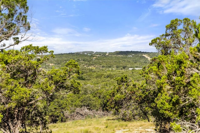 2219 Hiline Dr, Bulverde, TX 78163 - photo 36
