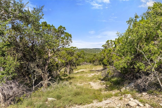 2219 Hiline Dr, Bulverde, TX 78163 - photo 37