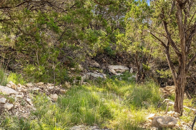 2219 Hiline Dr, Bulverde, TX 78163 - photo 39