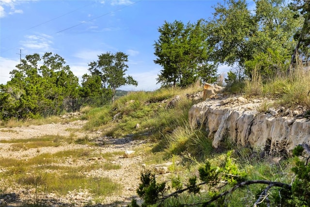 2219 Hiline Dr, Bulverde, TX 78163 - photo 40