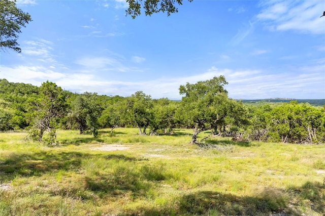 2219 Hiline Dr, Bulverde, TX 78163 - photo 1