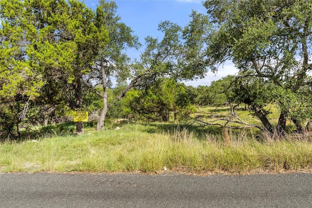 2219 Hiline Dr, Bulverde, TX 78163 - photo 4