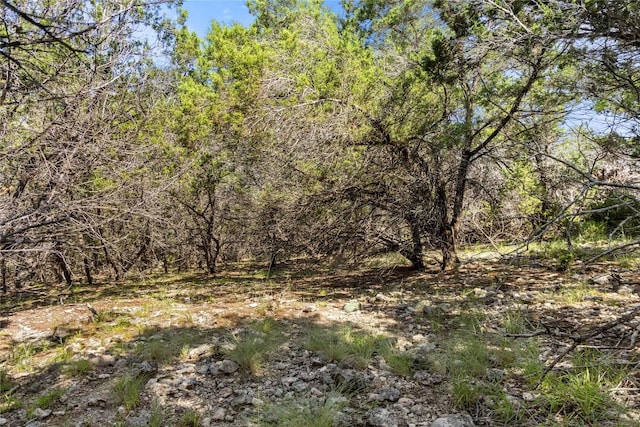 2219 Hiline Dr, Bulverde, TX 78163 - photo 9