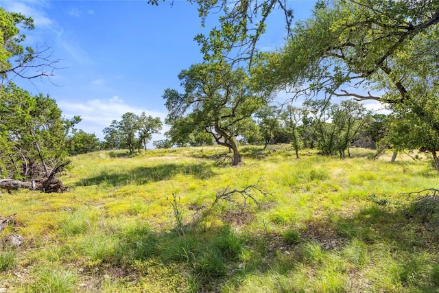 2219 Hiline Dr, Bulverde, TX 78163 - photo 10