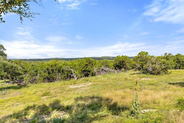 2219 Hiline Dr, Bulverde, TX 78163 - photo 11