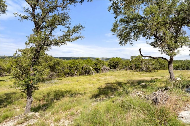 2219 Hiline Dr, Bulverde, TX 78163 - photo 13
