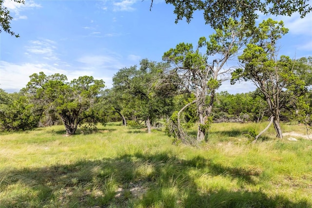 2219 Hiline Dr, Bulverde, TX 78163 - photo 14