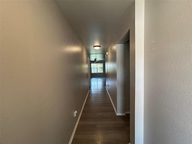 2101 Whistling Way, Taylor, TX 76574 - hallway with dark wood-style flooring and a textured wall