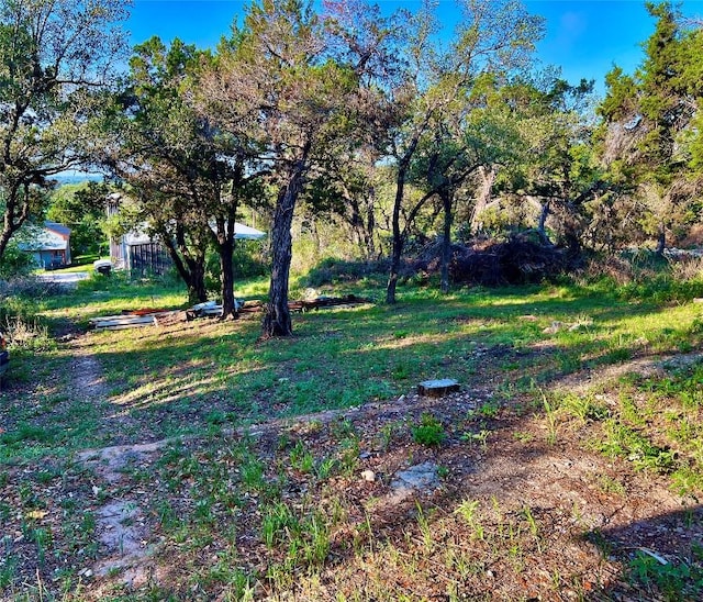 3819 Ranch Road 620th Rd N, Austin, TX 78734 - view of yard