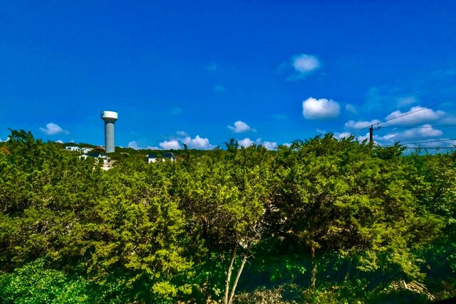 15014 Iowa St, Austin, TX 78734 - photo 5