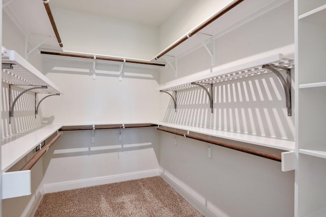 2521 Blended Tree Ranch Dr, Leander, TX 78641 - walk in closet with carpet floors