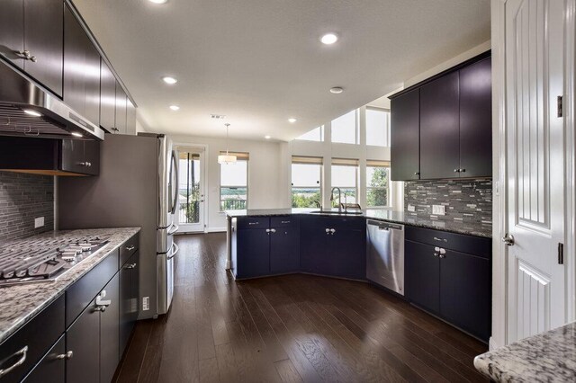 2521 Blended Tree Ranch Dr, Leander, TX 78641 - kitchen featuring appliances with stainless steel finishes, exhaust hood, a peninsula, healthy amount of natural light, and recessed lighting