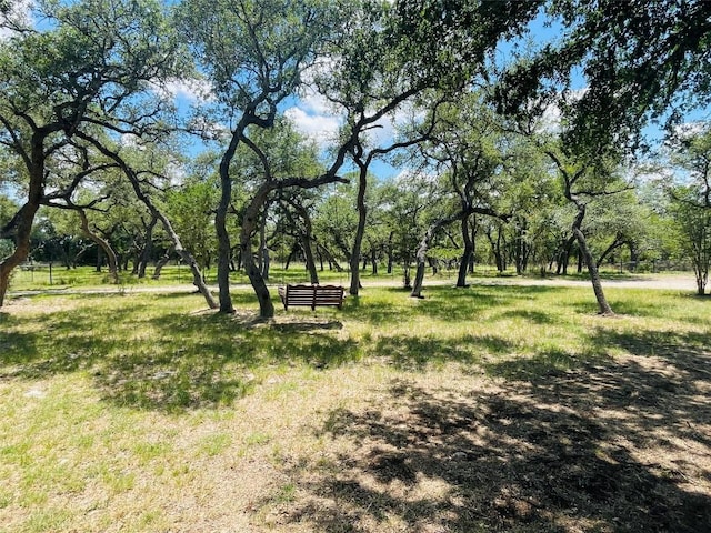 1100 Chapparal Dr, Wimberley, TX 78676 - photo 4
