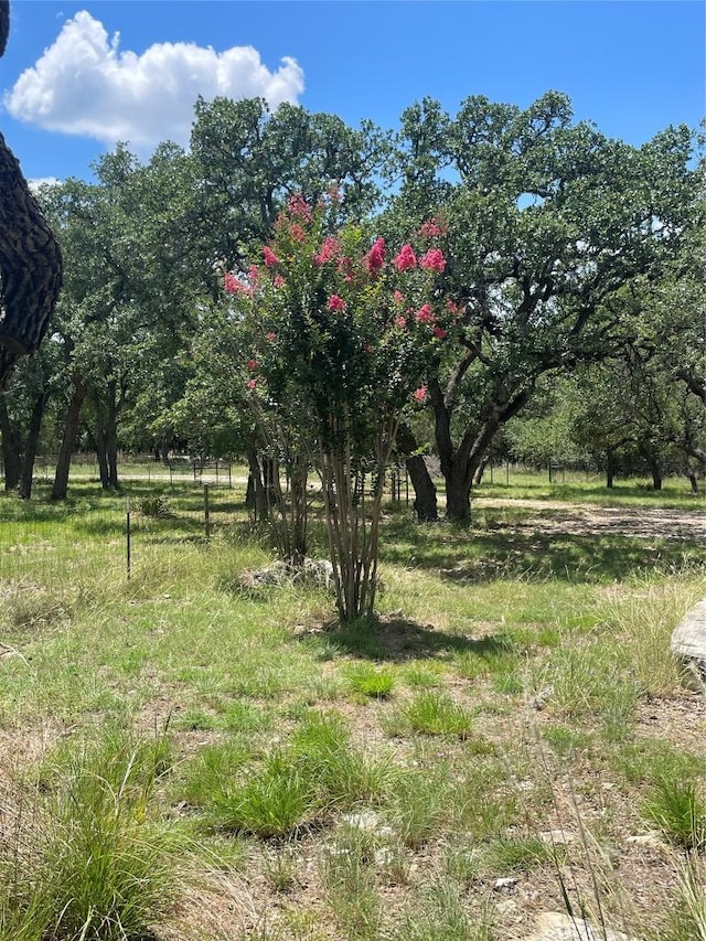 1100 Chapparal Dr, Wimberley, TX 78676 - photo 34