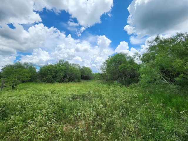 TBD Anchor Ranch Loop, Flatonia, TX 78941 - photo 8