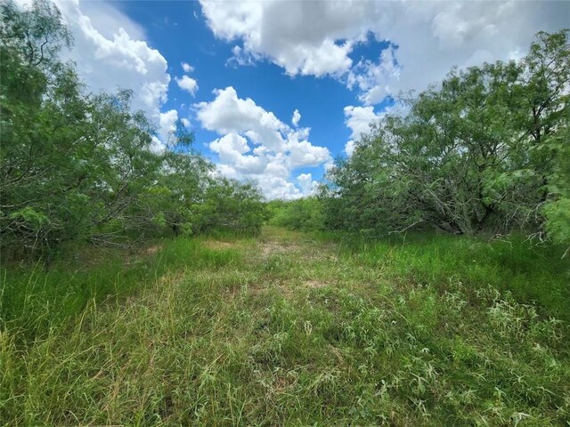 TBD Anchor Ranch Loop, Flatonia, TX 78941 - photo 7