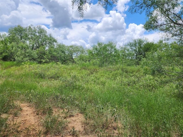TBD Anchor Ranch Loop, Flatonia, TX 78941 - photo 10