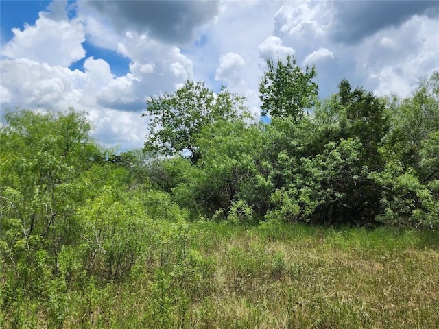 TBD Anchor Ranch Loop, Flatonia, TX 78941 - photo 11