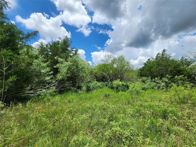 TBD Anchor Ranch Loop, Flatonia, TX 78941 - photo 12